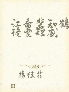 江乔裴知鹤先婚后爱短剧