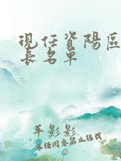 现任资阳区副区长名单