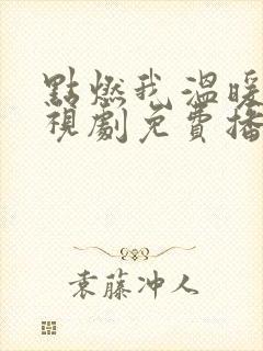 点燃我温暖你电视剧免费播放