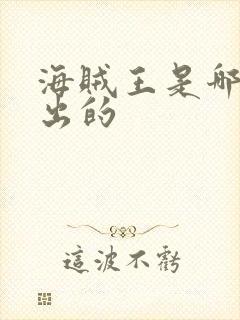 海贼王是哪一年出的