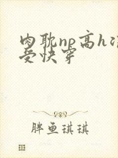 肉耽np高h浪受快穿