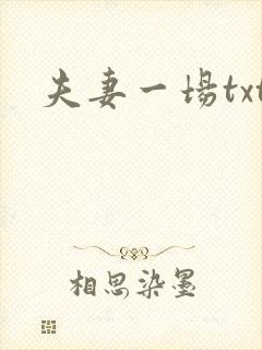 夫妻一场txt