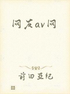 网友av网