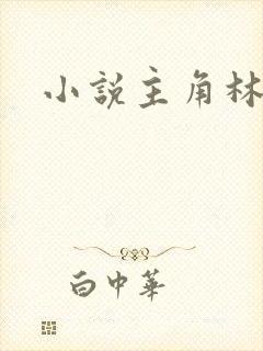 小说主角林天