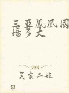 三亚凤凰国际机场多大