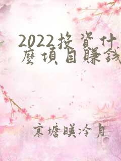 2022投资什么项目赚钱