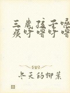 三岁孩子嗓子有痰呼噜呼噜的怎么办