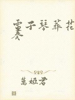 电子琴葬花吟独奏