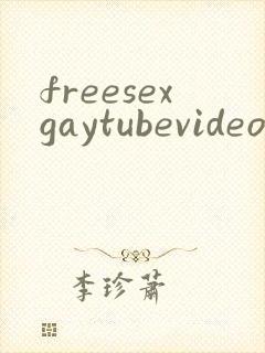 freesexgaytubevideo
