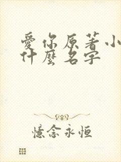 爱你原著小说叫什么名字