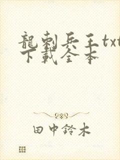 龙刺兵王txt下载全本