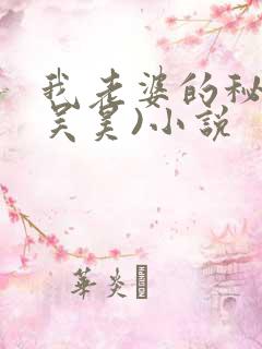 我老婆的秘密(吴昊)小说