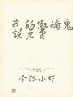 我的傲娇鬼夫小说免费