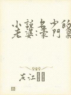 小说名少的神秘老婆:豪门枭宠aa制