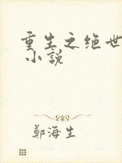 重生之绝世废少 小说
