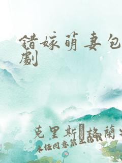 错嫁萌妻包甜短剧