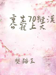 重生70糙汉老公宠上天