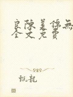 良陈美锦无删减全文免费
