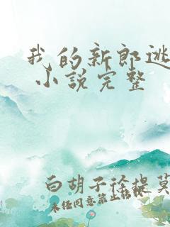 我的新郎逃婚了 小说完整