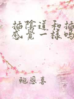 插阴道和插肛门感觉一样吗