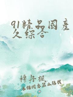 91精品国产久久综合