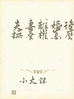 夫妻离婚后孩子抚养权怎么判