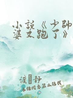 小说《少帅你老婆又跑了》