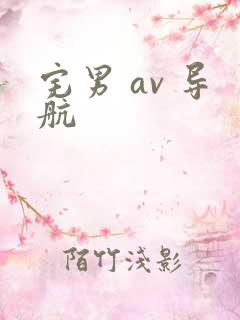 宅男 av 导航