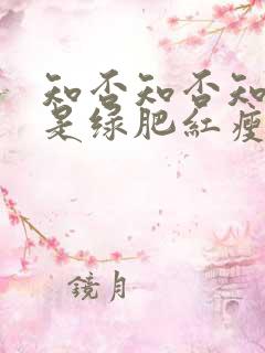 知否知否知否应是绿肥红瘦大娘子