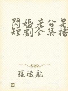 闪婚老公是豪门短剧全集播放