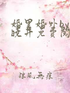 婚里婚外by叶晓井免费阅读