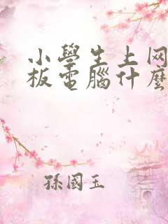 小学生上网课平板电脑什么牌子好