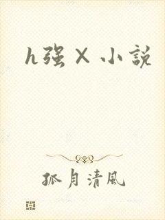 h强×小说
