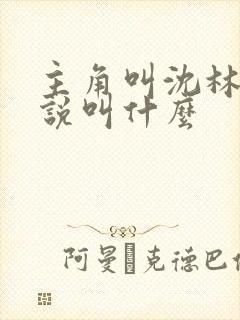 主角叫沈林的小说叫什么
