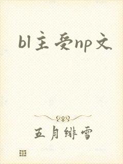 bl主受np文