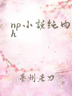 np小说纯肉高h