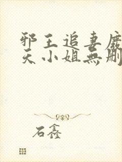 邪王追妻废材逆天小姐无删减