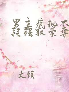 男主疯批不择手段强取豪夺的古言