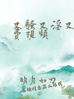 又骚又淫又爽免费视频