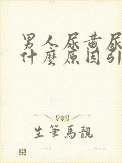 男人尿黄尿痛是什么原因引起的