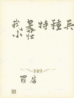 我是特种兵主角小庄