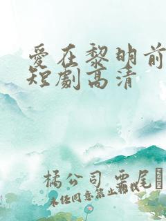 爱在黎明前升起短剧高清