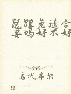 鼠跟兔适合做夫妻吗好不好
