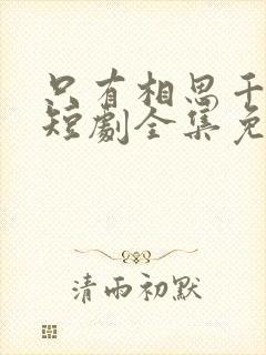 只有相思千里月短剧全集免费观看