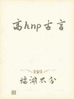 高hnp古言