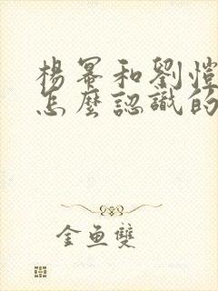 杨幂和刘恺威是怎么认识的