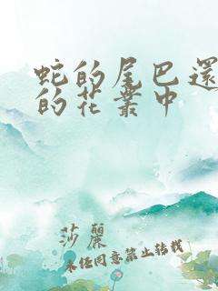 蛇的尾巴还在我的花丛中
