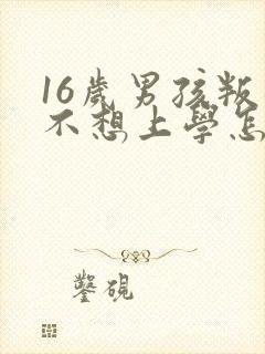 16岁男孩叛逆不想上学怎么办