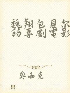 魏翔包贝尔主演的喜剧电影