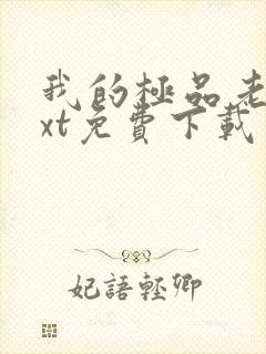 我的极品老婆txt免费下载
